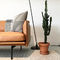 Sofa de salon de Comtemporary avec double simple en bois/moderne trois Seat de sofa/cuir de tissu